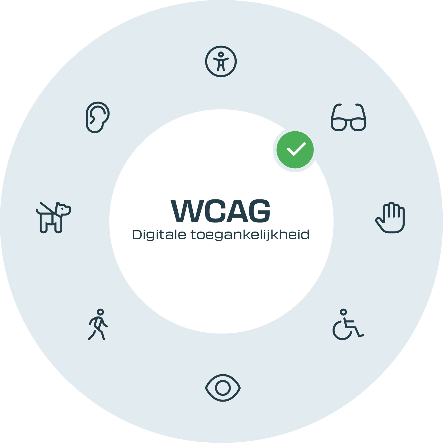 WCAG visual circle